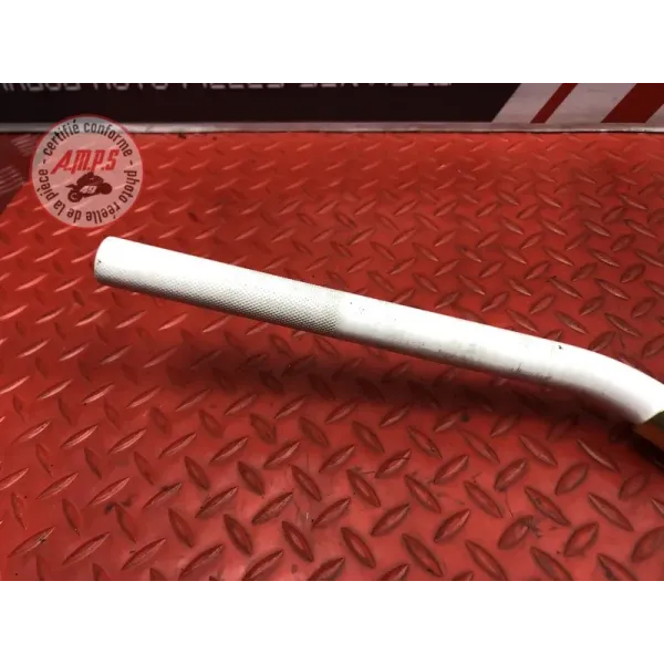 Guidon 