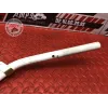 Guidon