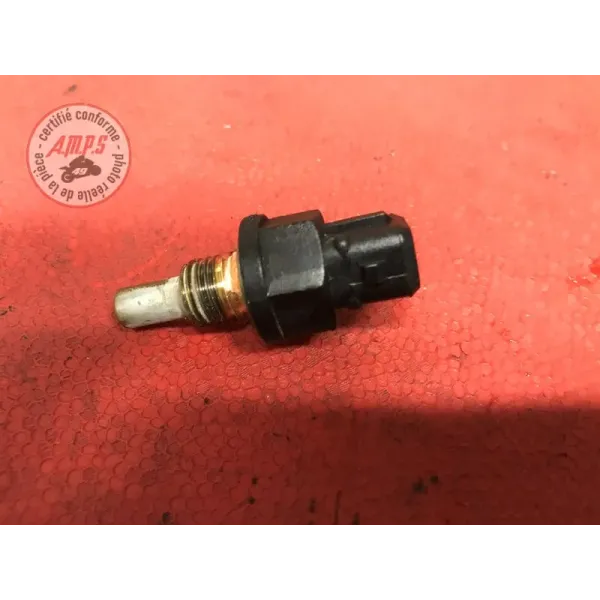 Sonde de température Triumph Street Triple 675 R 2013 à 2016