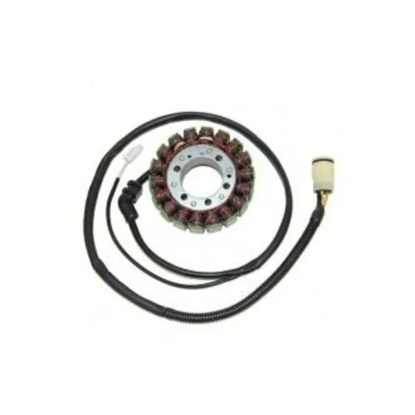 Stator ELECTROSPORT - Kawasaki ZX12R