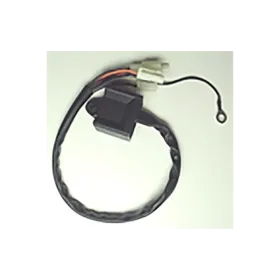 Boitier CDI TECNIUM Yamaha PW80