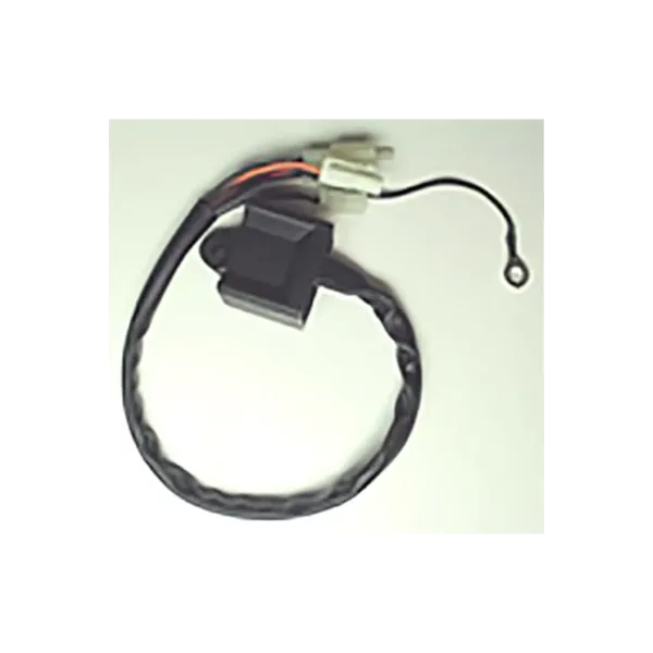 Boitier CDI TECNIUM Yamaha PW80