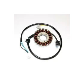 Stator ELECTROSPORT