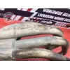 Collecteur d'échappement Honda 600 Hornet 1998 à 2002