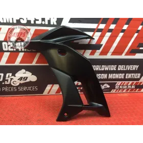 Ecope de radiateur gauche Kawasaki VERSYS 650 2015 à 2021