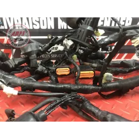 Faisceau électrique principale 