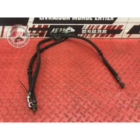 Durite de frein avant 