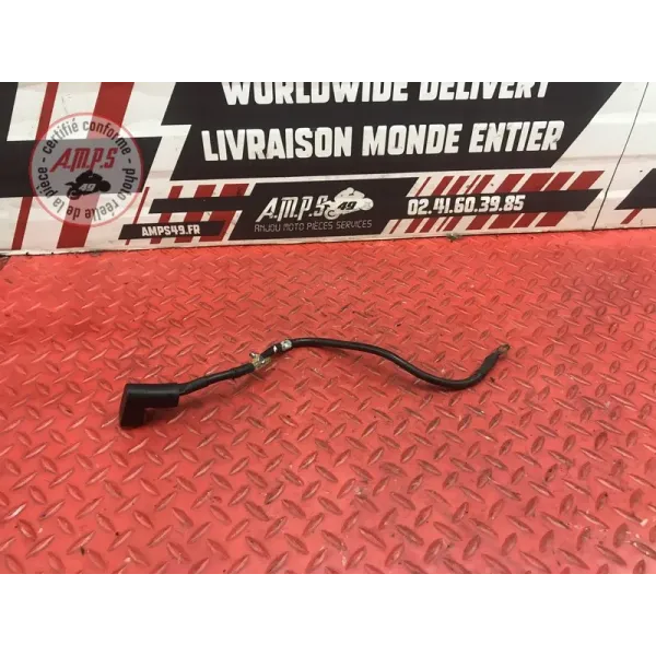 Cable alimentation demarreur Ducati 1100 Monster EVO 2008 à 2013