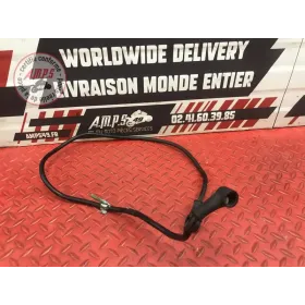 Cable de masse Ducati 1100 Monster EVO 2008 à 2013