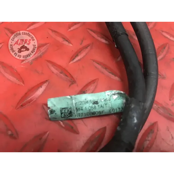 Cable de masse Ducati 1100 Monster EVO 2008 à 2013