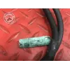 Cable de masse Ducati 1100 Monster EVO 2008 à 2013