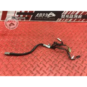 Faisceau électrique avant Ducati 1100 Monster EVO 2008 à 2013