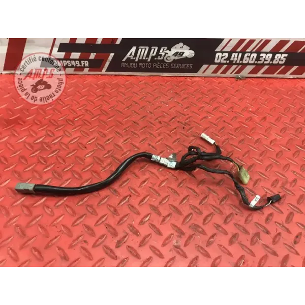 Faisceau électrique avant Ducati 1100 Monster EVO 2008 à 2013