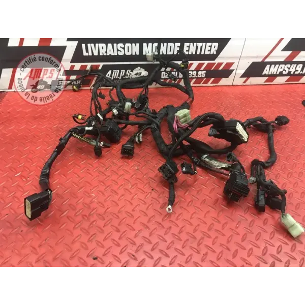 Faisceau électrique principale Ducati 1100 Monster EVO 2008 à 2013