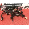 Faisceau électrique principale Ducati 1100 Monster EVO 2008 à 2013
