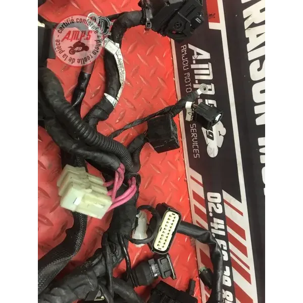 Faisceau électrique principale Ducati 1100 Monster EVO 2008 à 2013