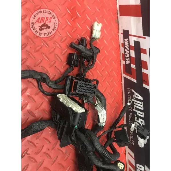 Faisceau électrique principale Ducati 1100 Monster EVO 2008 à 2013
