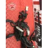 Faisceau électrique principale Ducati 1100 Monster EVO 2008 à 2013