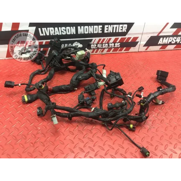 Faisceau électrique principale Ducati 1100 Monster EVO 2008 à 2013