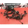 Faisceau électrique principale Ducati 1100 Monster EVO 2008 à 2013