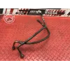 Durite d'huile Ducati 1100 Monster EVO 2008 à 2013
