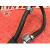 Durite de carburant Ducati 1100 Monster EVO 2008 à 2013