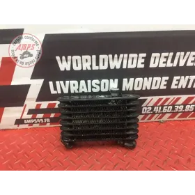 Radiateur d'huile Ducati 1100 Monster EVO 2008 à 2013