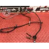 Kit de durite frein Ducati 1100 Monster EVO 2008 à 2013