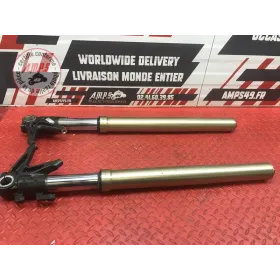 Paire de tube de fourche Ducati 1100 Monster EVO 2008 à 2013