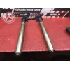Paire de tube de fourche Ducati 1100 Monster EVO 2008 à 2013