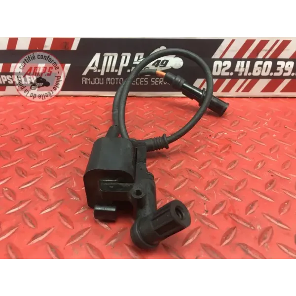 Bobine d'allumage courte Ducati 1100 Monster EVO 2008 à 2013
