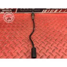 Sonde lambda longue Ducati 1100 Monster EVO 2008 à 2013