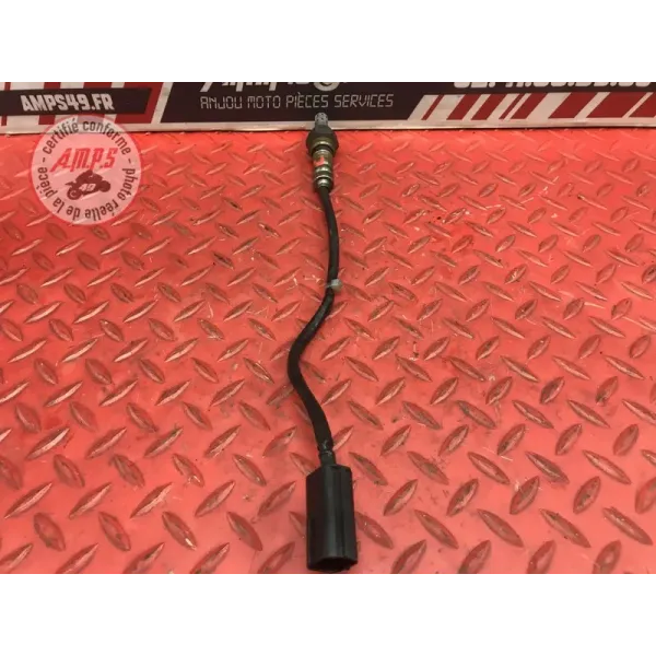 Sonde lambda longue Ducati 1100 Monster EVO 2008 à 2013