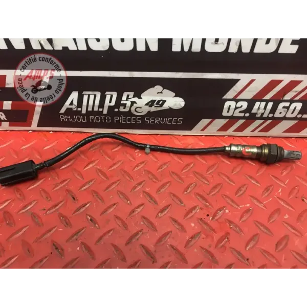 Sonde lambda longue Ducati 1100 Monster EVO 2008 à 2013