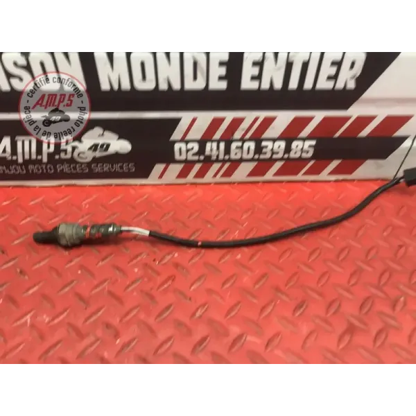 Sonde lambda courte Ducati 1100 Monster EVO 2008 à 2013