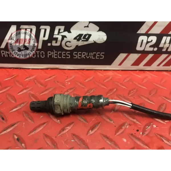Sonde lambda courte Ducati 1100 Monster EVO 2008 à 2013