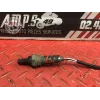 Sonde lambda courte Ducati 1100 Monster EVO 2008 à 2013