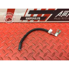 Cable de batterie Ducati 1262 XDiavel S 2016 à 2024