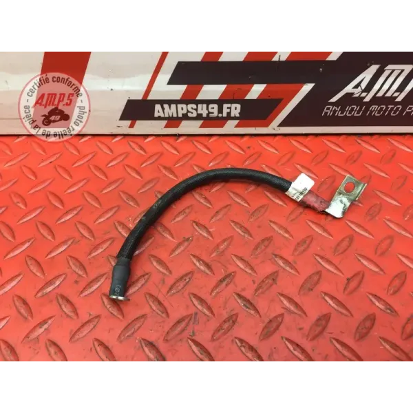 Cable de batterie Ducati 1262 XDiavel S 2016 à 2024