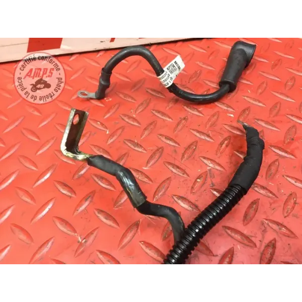 Cable de masse Ducati 1262 XDiavel S 2016 à 2024