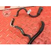 Cable de masse Ducati 1262 XDiavel S 2016 à 2024