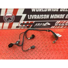Faisceau d'injection Ducati 1262 XDiavel S 2016 à 2024