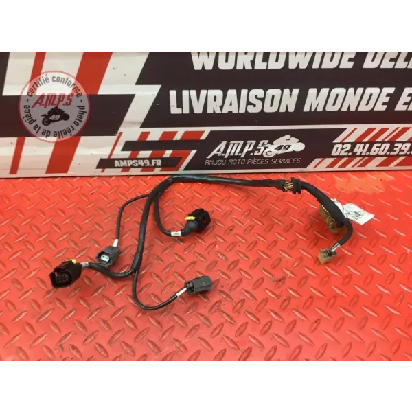 Faisceau d'injection Ducati 1262 XDiavel S 2016 à 2024