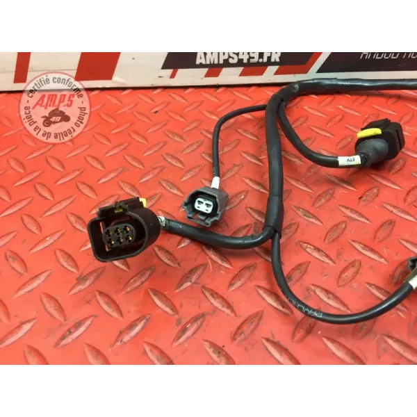 Faisceau d'injection Ducati 1262 XDiavel S 2016 à 2024