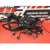Faisceau électrique principale Ducati 1262 XDiavel S 2016 à 2024