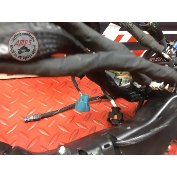 Faisceau électrique principale Ducati 1262 XDiavel S 2016 à 2024