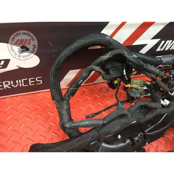 Faisceau électrique principale Ducati 1262 XDiavel S 2016 à 2024
