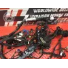 Faisceau électrique principale Ducati 1262 XDiavel S 2016 à 2024