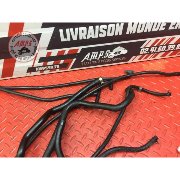 Durite moteur Ducati 1262 XDiavel S 2016 à 2024