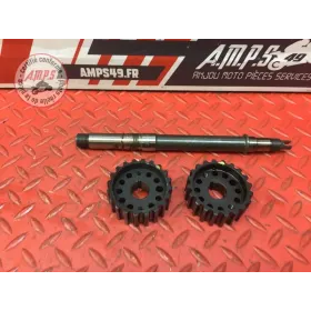 Poulie de distribution avec axe